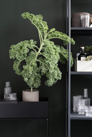 ferm LIVING Plant Box - svart - ferm LIVING