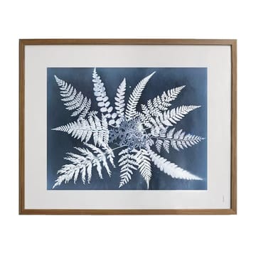 Fern star plakat - 40 x 50 cm - Fine Little Day