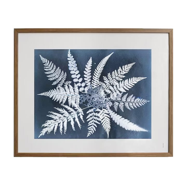 Fern star plakat, 40 x 50 cm Fine Little Day