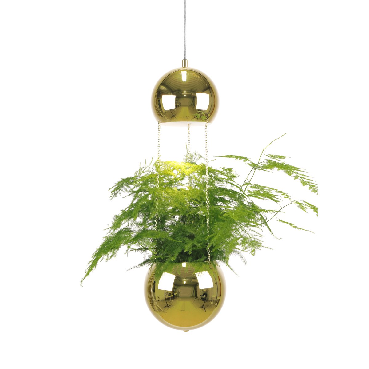 Globen Lighting Planter taklampe og planteoppheng messing