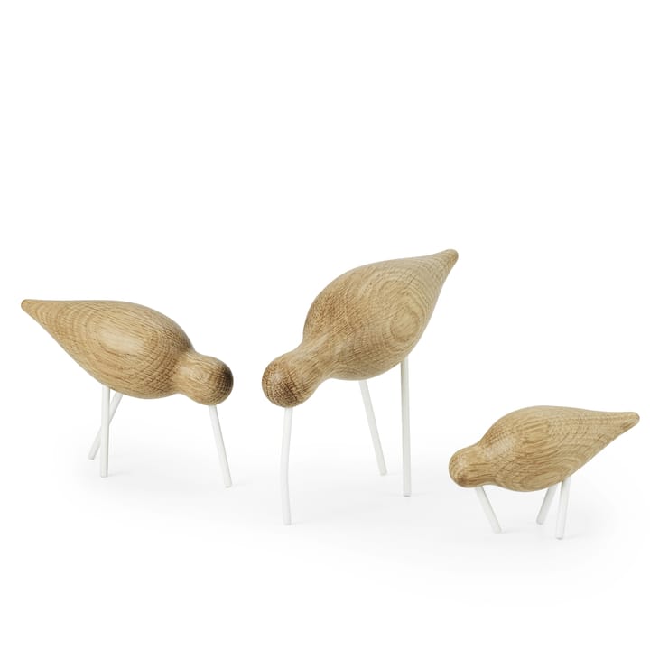 Shorebird eik-hvit, liten Normann Copenhagen