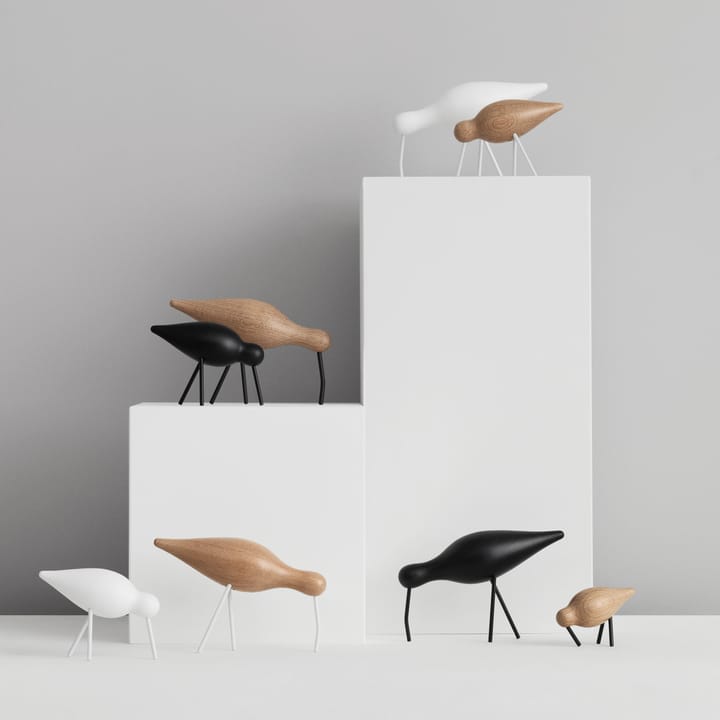 Shorebird eik-hvit, stor Normann Copenhagen