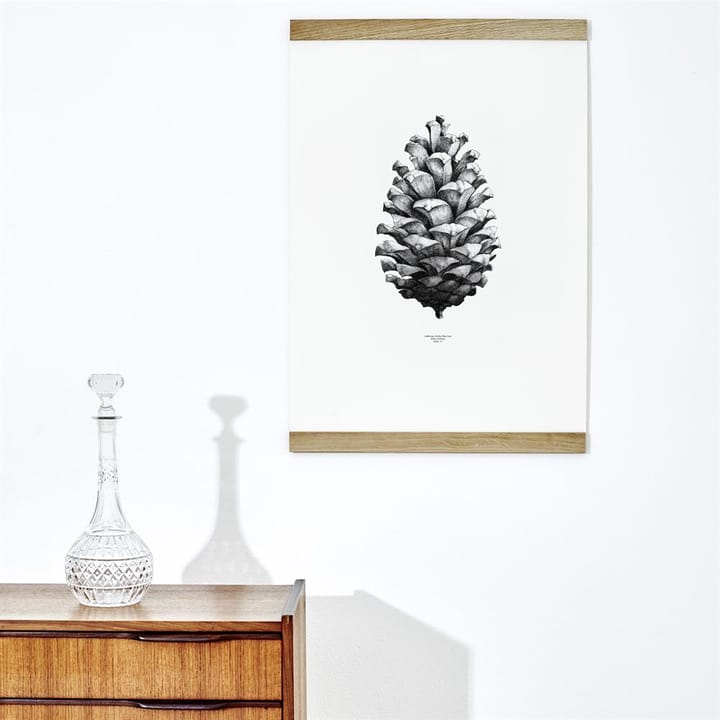 1:1 Pine Cone poster, hvit, 50x70 cm Paper Collective