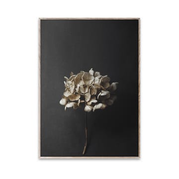 Stil Life 04 Hydrangea poster - 30x40 cm - Paper Collective