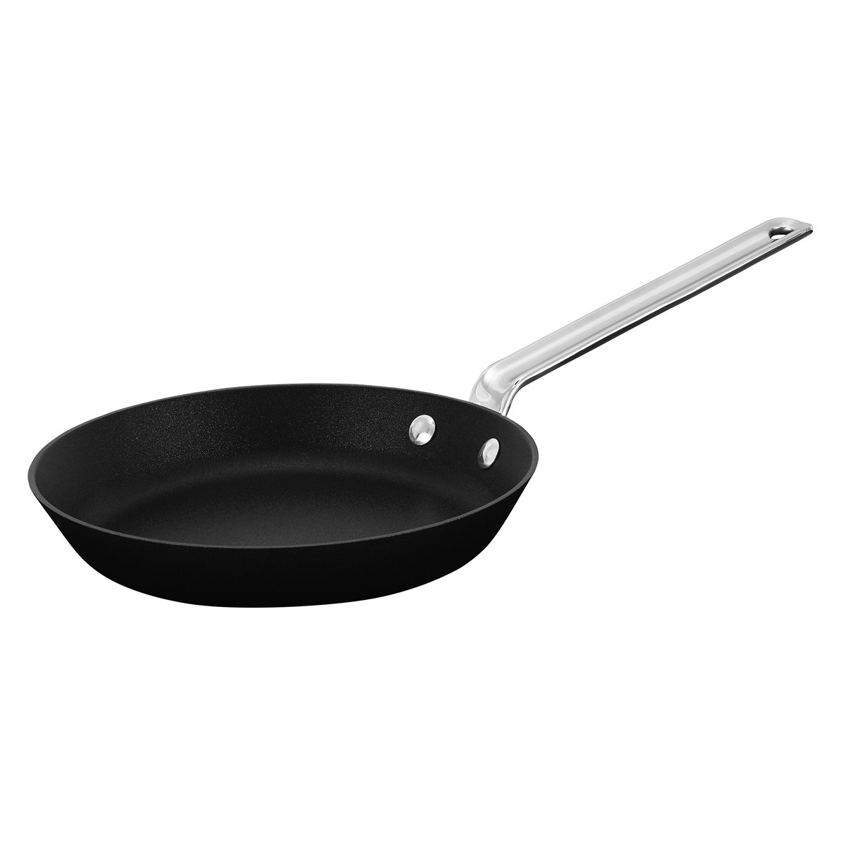 Scanpan Scanpan TechnIQ stekepanne 22 cm