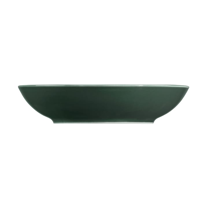 Terra dyp tallerken Ø 21,2 cm 6-pakning, Moss Green Seltmann Weiden