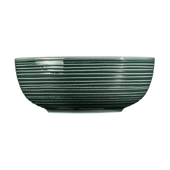 Terra skål Ø 20,4 cm 2-pakning, Moss Green Seltmann Weiden