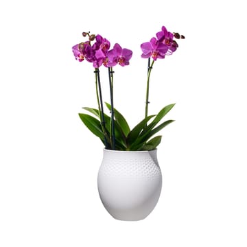 Collier Blanc Perle vase - stor - Villeroy & Boch