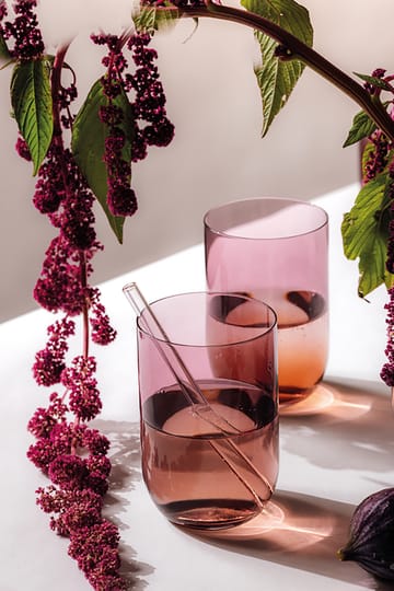 Like longdrinkglass 38,5 cl 2-pakning - Grape - Villeroy & Boch